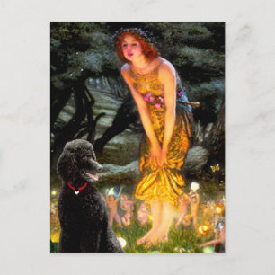 MidEve-Standaard Zwarte Poodle (T) Briefkaart