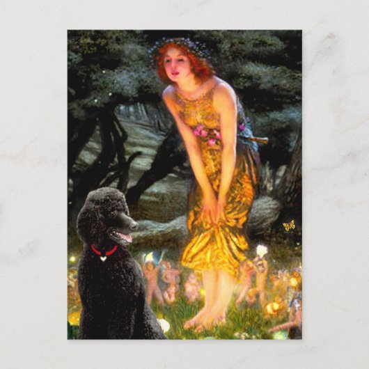 MidEve-Standaard Zwarte Poodle (T) Briefkaart (Voorkant)