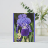 Midinnight Iris Bloemen Briefkaart (Staand voorkant)