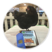 Midnight Ameraucana Champion Chicken knob pull BW Keramische Knop (Voorkant)
