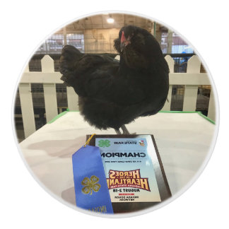 Midnight Ameraucana Champion Chicken knob pull BW Keramische Knop