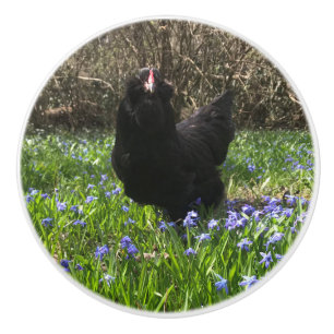 Midnight bloemen knol pull kip tail right keramische knop