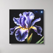 Midnight Bloom Iris Canvas Afdruk (Voorkant)