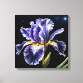 Midnight Bloom Iris Canvas Afdruk