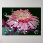 Midnight Blossom - Afdrukken Poster (Voorkant)