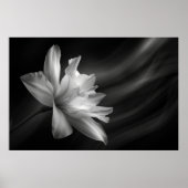 Midnight Blossom Print, Value Poster papier (mat) (Voorkant)