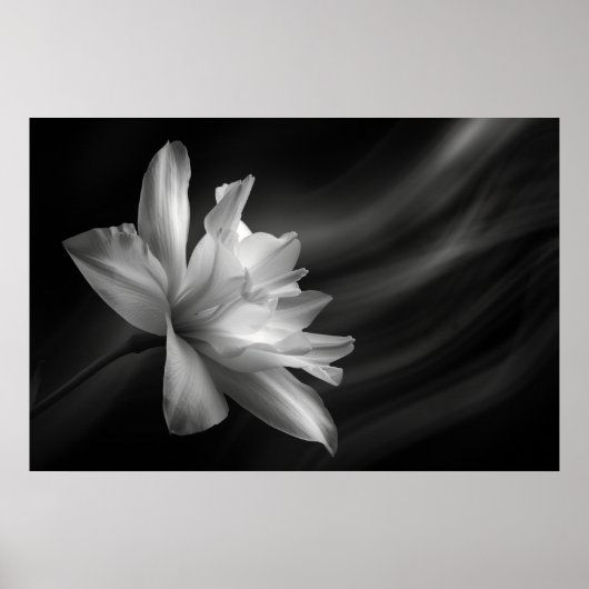 Midnight Blossom Print, Value Poster papier (mat) (Voorkant)