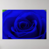 Midnight Blue Poster (Voorkant)