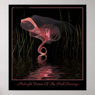Midnight dans of the roze flamingo poster