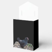 Midnight Feathers: een zwarte kip in de popout-kun Bedankdoosjes (Geopend)