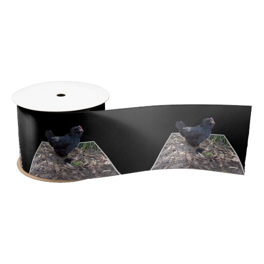 Midnight Feathers: een zwarte kip in de popout-kun Satijnen Lint (Spoel)