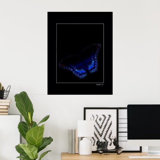 Midnight Flight Poster (Thuiskantoor)