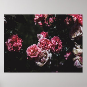 Midnight garden, donkere bloemkunst poster