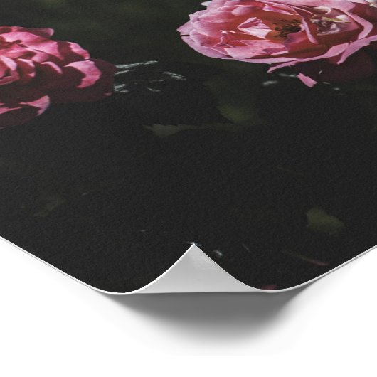 Midnight garden, donkere bloemkunst poster (Hoek)