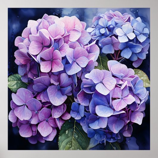 Midnight Garden Violet Hydrangea Waterverf Poster (Voorkant)