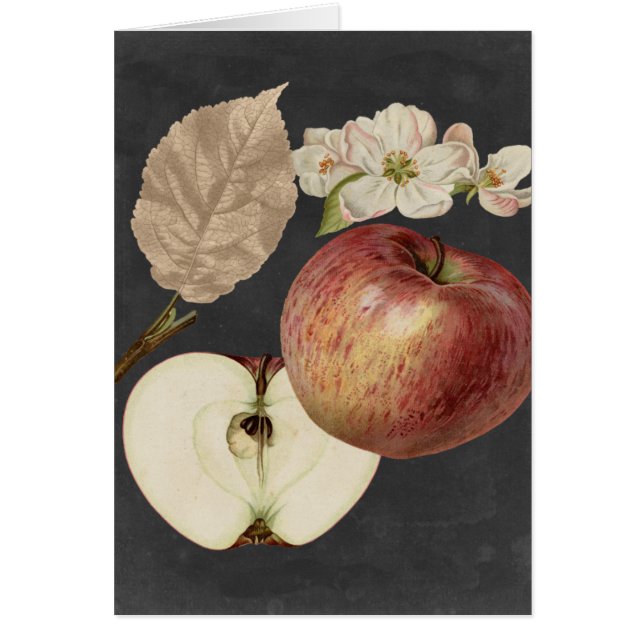 Midnight Harvest II (Voorkant)