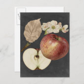 Midnight Harvest II Briefkaart (Voorkant / Achterkant)