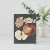 Midnight Harvest II Briefkaart (Staand voorkant)