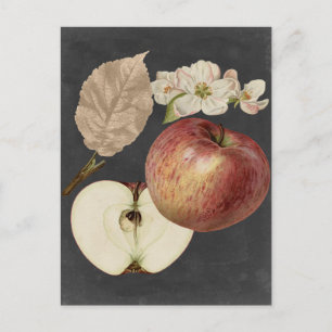 Midnight Harvest II Briefkaart