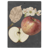 Midnight Harvest II Klembord (Achterkant)