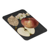 Midnight Harvest II Magneet (Rechterzijde)