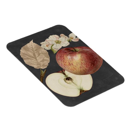 Midnight Harvest II Magneet (Rechterzijde)