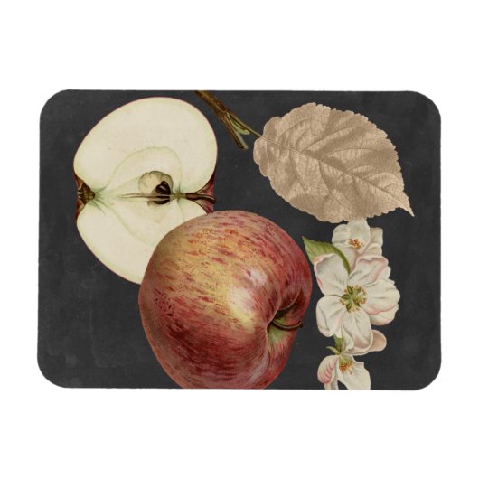 Midnight Harvest II Magneet (Horizontaal)