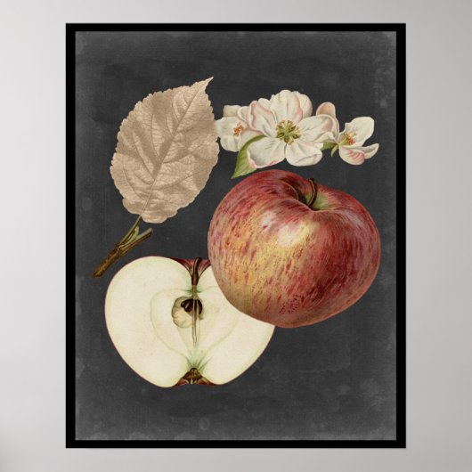 Midnight Harvest II Poster (Voorkant)