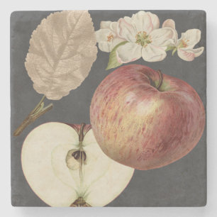 Midnight Harvest II Stenen Onderzetter