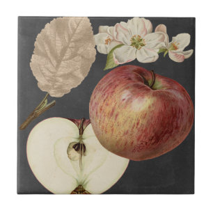 Midnight Harvest II Tegeltje