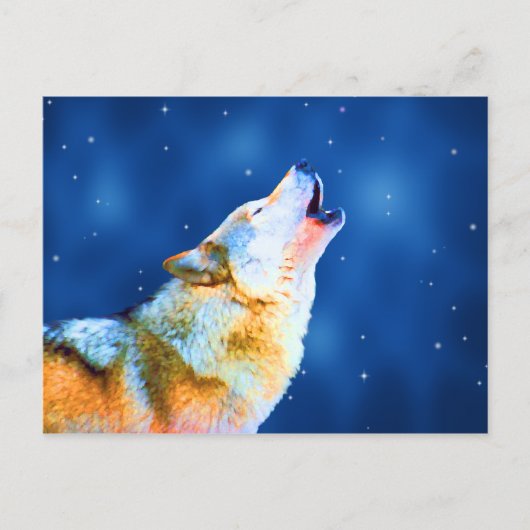 Midnight Howl Briefkaarten (Voorkant)