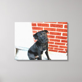 Midnight in a Pensive Mood Canvas Afdruk