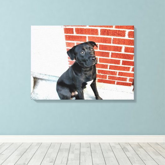 Midnight in a Pensive Mood Canvas Afdruk (Insitu (Houten vloer))