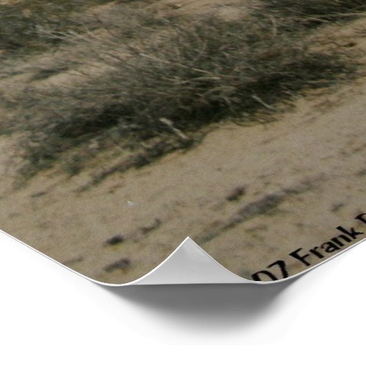 Midnight in de Mojave Poster (Hoek)