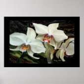 MIDNIGHT MAGIC ORCHID PRINT (Voorkant)