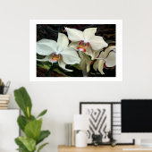 "MIDNIGHT MAGIC" ORCHID PRINT (Thuiskantoor)