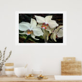"MIDNIGHT MAGIC" ORCHID PRINT (Keuken)