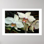 "MIDNIGHT MAGIC" ORCHID PRINT (Voorkant)