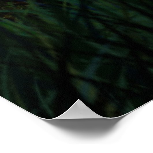 Midnight Meeting Poster (Hoek)