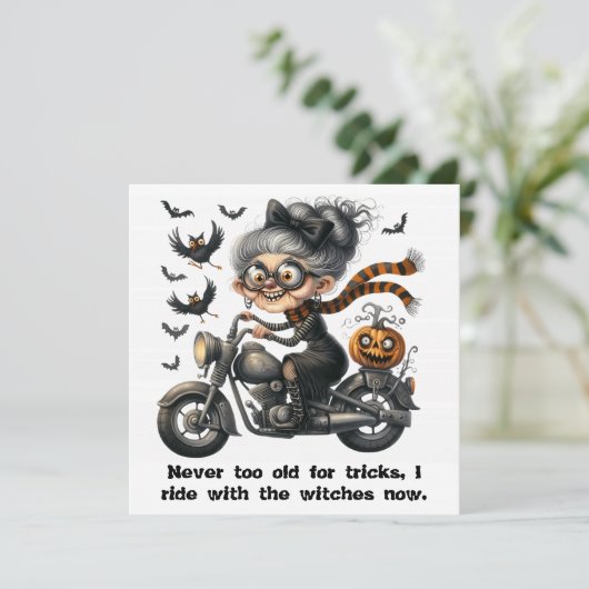 Midnight Mischief op wielen (Staand voorkant)