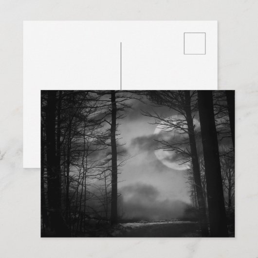Midnight Moon - B&W Briefkaart (Voorkant / Achterkant)