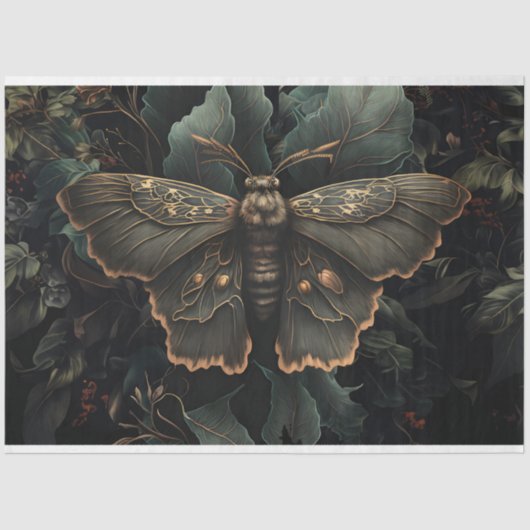 Midnight Moth Tissuepapier (Voorkant)