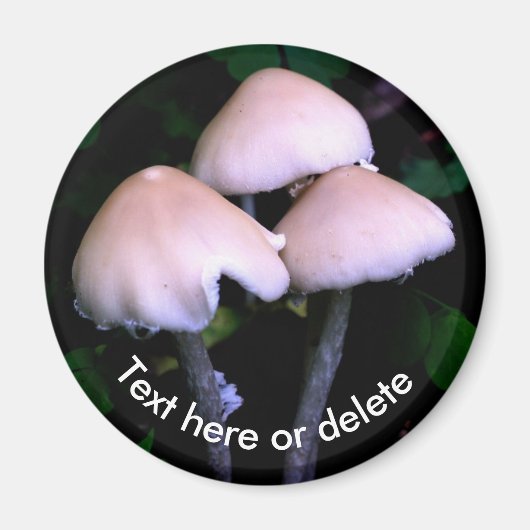 Midnight Mushrooms Nature Personalized Magneet (Voorkant)