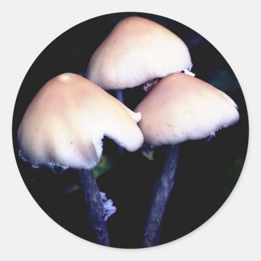 Midnight Paddenstoelen Natuur Ronde Sticker (Voorkant)