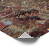 Midnight Parrotfish Poster (Hoek)