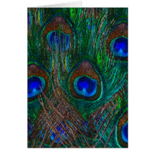 Midnight Peacock Feathers Etching Style Decor