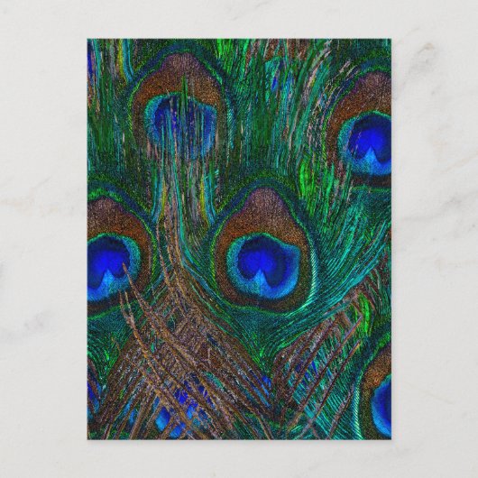 Midnight Peacock Feathers Etching Style Decor Briefkaart (Voorkant)