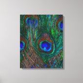 Midnight Peacock Feathers Etching Style Decor Canvas Afdruk (Voorkant)