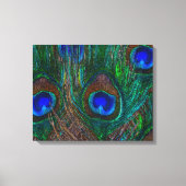 Midnight Peacock Feathers Etching Style Decor Canvas Afdruk (Voorkant)