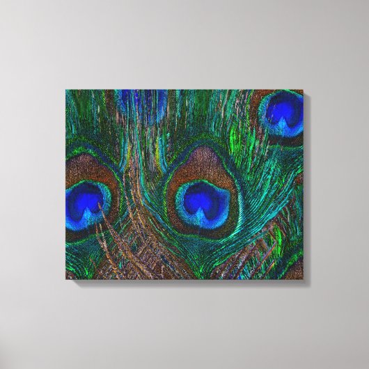 Midnight Peacock Feathers Etching Style Decor Canvas Afdruk (Voorkant)